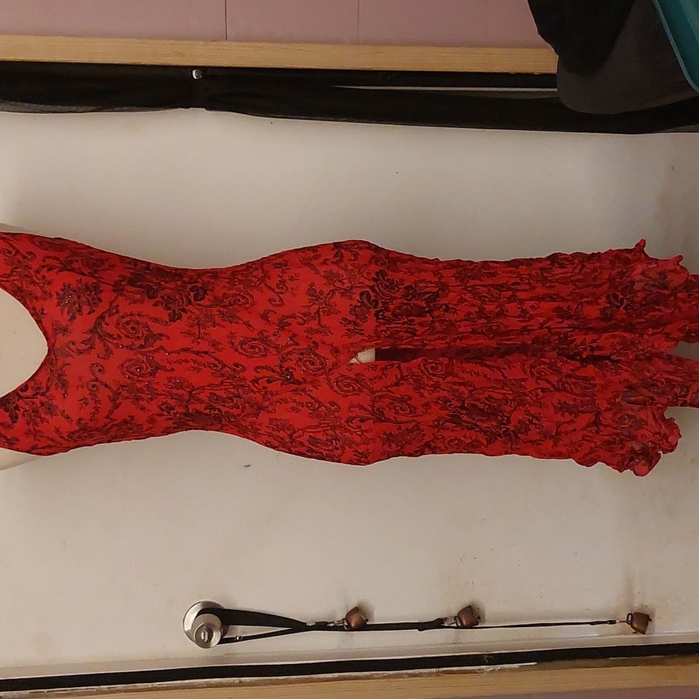 Salsy Sheer Red Dress